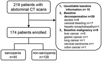 Prevalence and effect on prognosis of sarcopenia in patients with primary biliary cholangitis